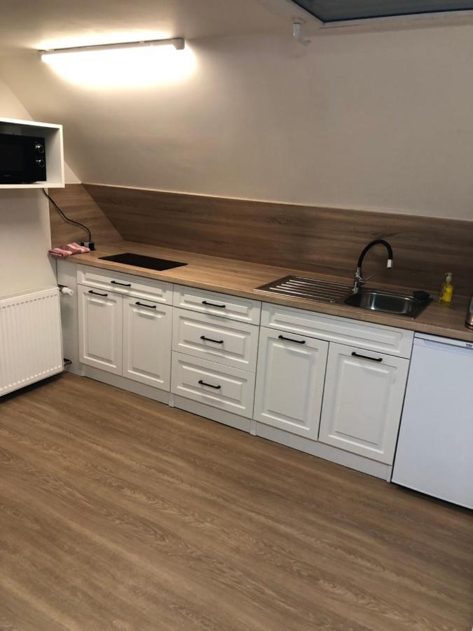 Apartmany U Vleku - Podkrovni Apartman Karlova Studánka Eksteriør bilde